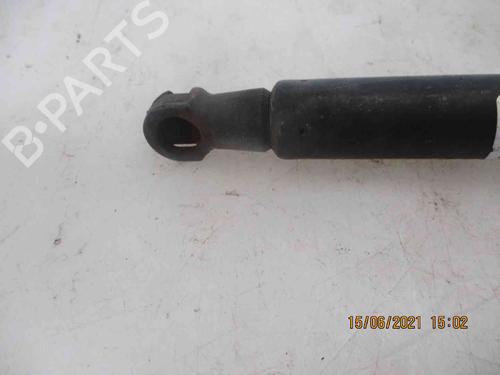 Tailgate lift support AUDI A3 (8P1) 2.0 TDI | BP19735233C138 