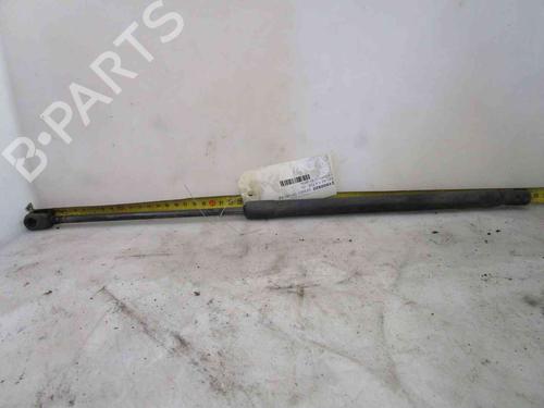 Used Tailgate lift support AUDI A2 (8Z0) 1.4 TDI (75 hp) 24007989