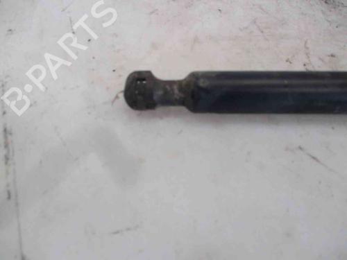 Hood lift support RENAULT CLIO IV (BH_) 0.9 TCe 90 (BHNF, BHMA, BHMH, BHJK, BHJR) | BP26634022C139 