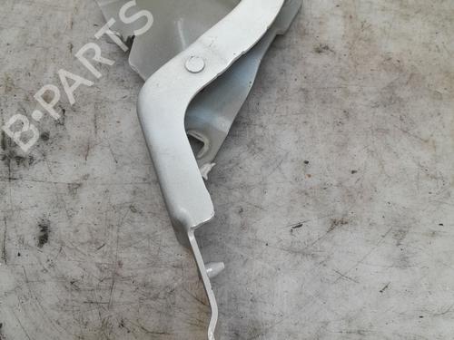 Hinge/Door check strap RENAULT ZOE (BFM_) ZOE | BP35885547C146 - Image 4