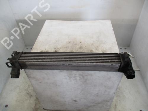 Intercooler RENAULT MEGANE III Hatchback (BZ0/1_, B3_) 1.5 dCi (BZ09, BZ0D, BZ1W, BZ29, BZ14) | BP26411043M30 