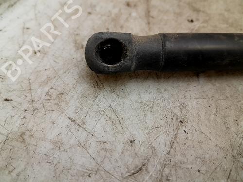 Tailgate lift support FORD FIESTA VI (CB1, CCN) 1.25 | BP24014193C138 
