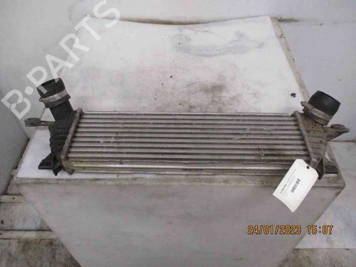 Intercooler RENAULT KANGOO Express (FC0/1_)  | BP26628635M30 