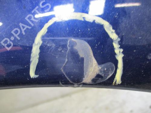 Left front fenders CITROËN C3 I (FC_, FN_) 1.4 HDi | BP24014328C41 