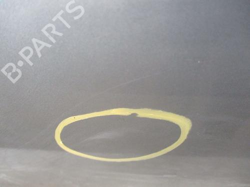 Left front door DACIA DUSTER (HS_) 1.5 dCi (HSAJ) | BP30187202C2