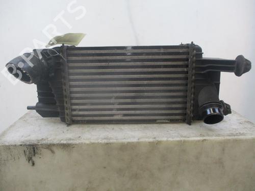 Intercooler NISSAN JUKE (F15) 1.5 dCi | BP29600035M30 
