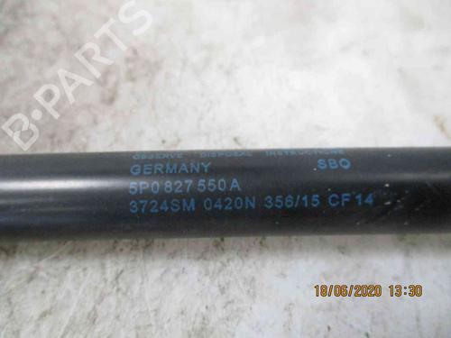 Tailgate lift support SEAT ALTEA (5P1)  | BP19734907C138 