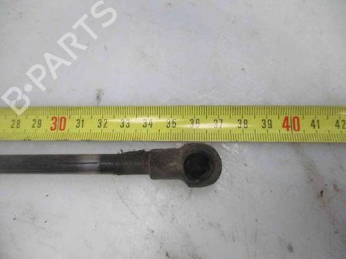 Tailgate lift support BMW 3 (E46)  | BP19734904C138 