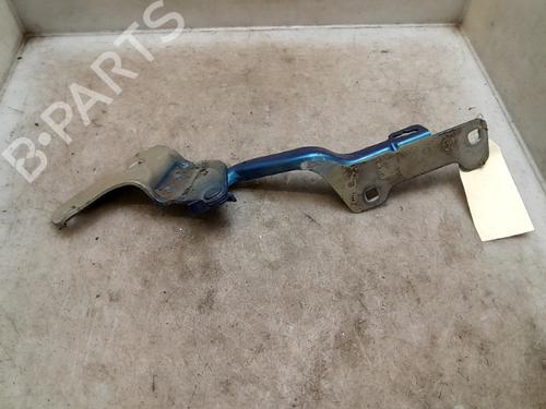 Used Hinge/Door check strap RENAULT CLIO III (BR0/1, CR0/1) 1.4 16V (98 hp) 26637539