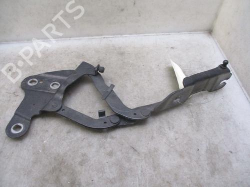 Hinge/Door check strap BMW X1 (E84)  | BP26635217C146