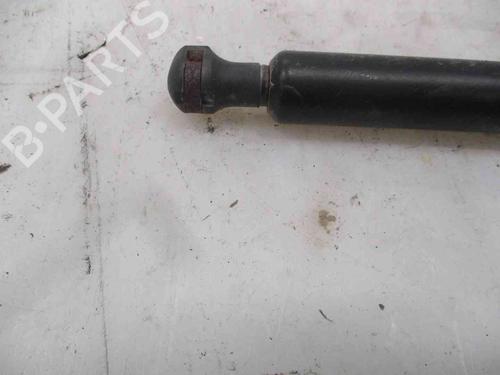 Tailgate lift support RENAULT LAGUNA II (BG0/1_) 1.6 16V (BG0A, BG0L) | BP19735217C138 