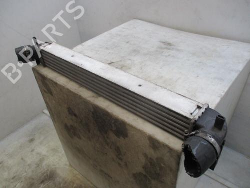 Intercooler VW POLO V (6R1, 6C1) 1.6 TDI | BP29230111M30 