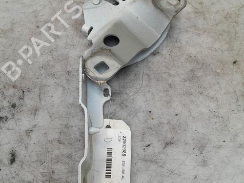 Hinge/Door check strap RENAULT ZOE (BFM_) ZOE | BP35885546C146 - Image 3