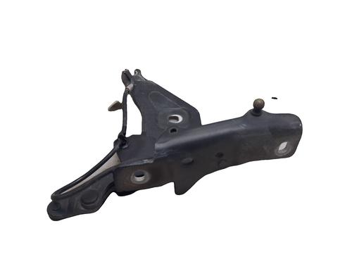 Used Hinge/Door check strap Hinge/Door check strap BMW X5 (E70) xDrive 40 d (306 hp) 40161461 40161461