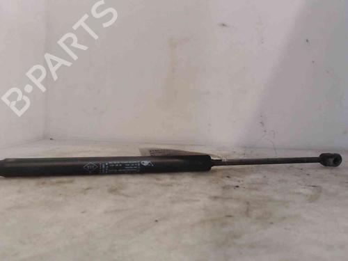 Used Tailgate lift support RENAULT MEGANE III Hatchback (BZ0/1_, B3_) 1.5 dCi (86 hp) 20202873
