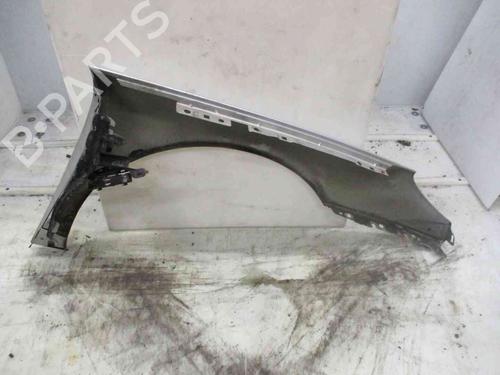 Left front fenders PEUGEOT 407 (6D_) 2.0 HDi 135 (6DRHRH, 6DRHRE, 6DRHRG, 6DRHRJ) | BP24922235C41 
