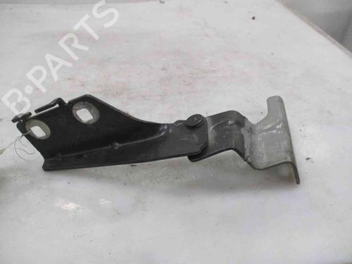 Used Hinge/Door check strap RENAULT MEGANE II (BM0/1_, CM0/1_) 1.9 dCi (131 hp) 19739214