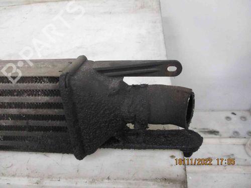 Intercooler FIAT GRANDE PUNTO (199_) 1.3 D Multijet | BP26622909M30 