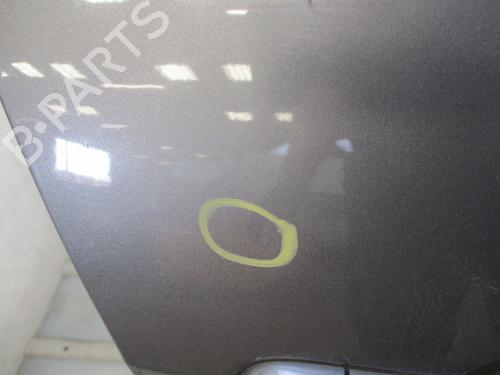 Right front door RENAULT SCÉNIC III (JZ0/1_) 1.5 dCi | BP28330559C3 