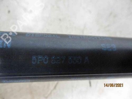 Tailgate lift support SEAT ALTEA (5P1)  | BP19738051C138 