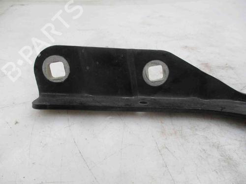 Hinge/Door check strap RENAULT CLIO IV (BH_) 1.5 dCi 90 | BP26633741C146 