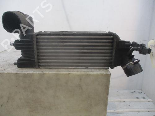 Intercooler PEUGEOT 607 (9D, 9U) 2.2 HDi | BP29600045M30 