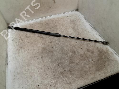 Used Tailgate lift support FORD C-MAX II (DXA/CB7, DXA/CEU) 1.6 TDCi (115 hp) 24971056