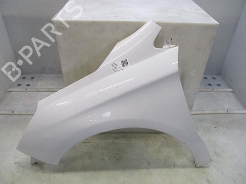 left-front-fenders-citroen-c4-ii-nc_-2009-32178194 main image