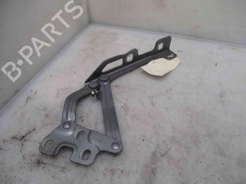 Hinge/Door check strap OPEL CORSA D (S07) 1.0 (L08, L68) | BP19717551C146 