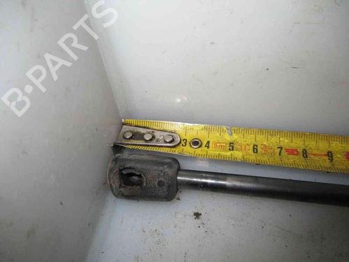 Tailgate lift support FORD FIESTA VI (CB1, CCN) 1.0 | BP20508834C138 