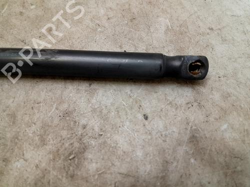 Tailgate lift support VW GOLF VI (5K1)  | BP26637132C138 