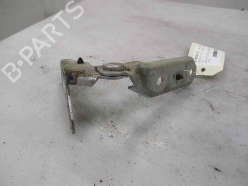 Hinge/Door check strap VW POLO (9N_, 9A_) 1.2 | BP19719316C146 