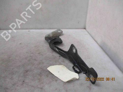 Used Hinge/Door check strap RENAULT CLIO III (BR0/1, CR0/1) 1.5 dCi (BR17, CR17) (86 hp) 19742351