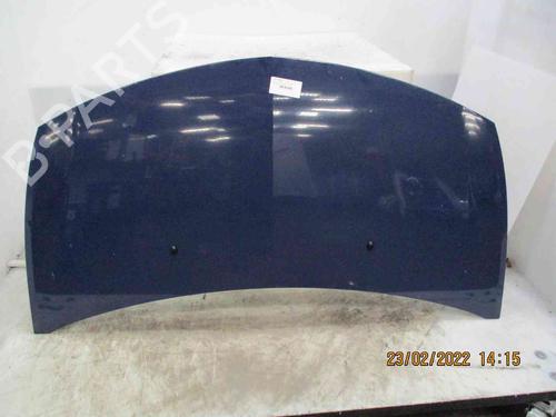 Used Hood RENAULT CLIO III (BR0/1, CR0/1) [2005-2014]  20206777