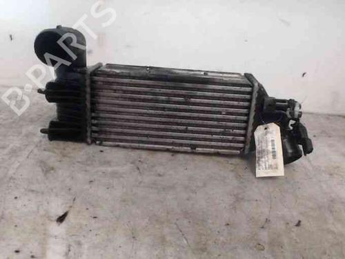 Used Intercooler PEUGEOT 607 (9D, 9U) 2.2 HDi (133 hp) 24006715
