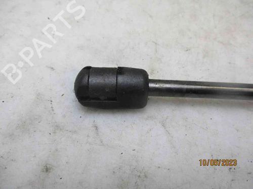 Hood lift support BMW 5 (F10) 520 d | BP26625027C139 