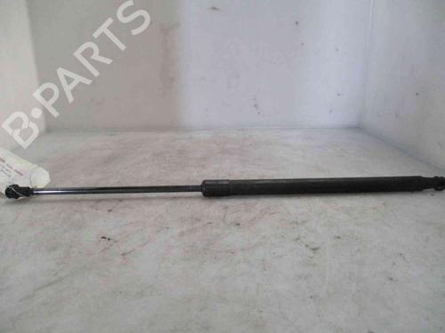 Used Tailgate lift support AUDI A3 (8P1) 1.6 (102 hp) 20204978