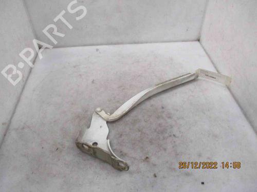 Hinge/Door check strap FIAT PUNTO EVO (199_) 1.3 D Multijet (199AXC1A, 199BXC1A, 199AXT1A, 199BXT1A) | BP26623152C146 