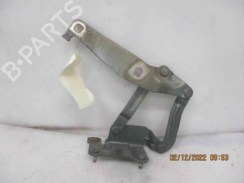 Used Hinge/Door check strap RENAULT SCÉNIC II (JM0/1_) [2003-2010]  26626751