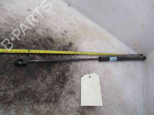 Used Hood lift support SEAT LEON (1M1) 1.4 16V (75 hp) 19715064
