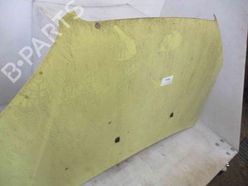 Hood FIAT DOBLO Box Body/MPV (223_) 1.3 D Multijet | BP19723609C1 