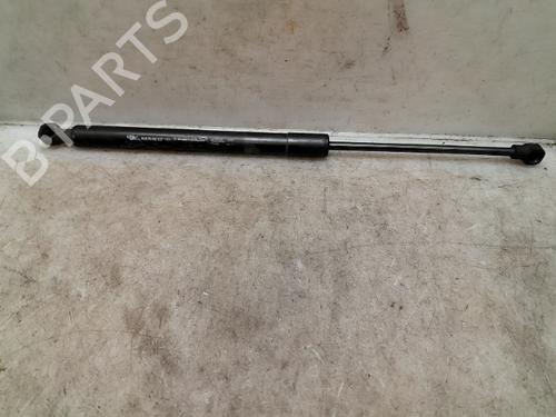 Used Hood lift support DACIA LODGY (JS_) 1.2 TCe (JSAY, JSM0) (115 hp) 26635662