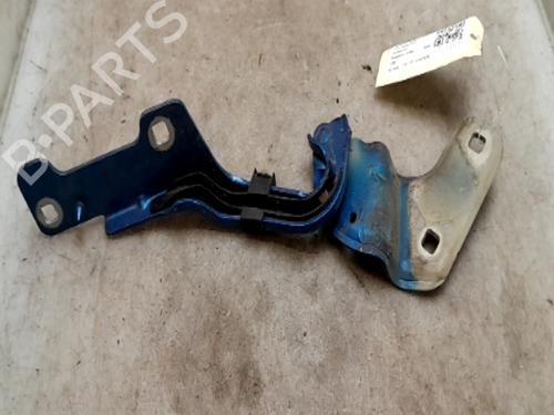 Hinge/Door check strap RENAULT CLIO III (BR0/1, CR0/1) 1.4 16V | BP26637538C146 