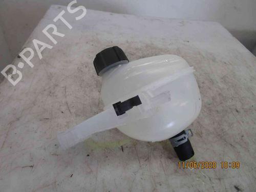 Expansion tank RENAULT TWINGO III (BCM_, BCA_) 1.0 SCe 75 | BP24010045C120 