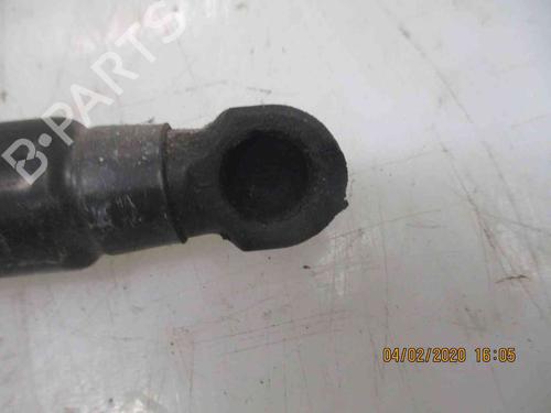 Hood lift support HYUNDAI SANTA FÉ I (SM) 2.0 CRDi | BP19719808C139 