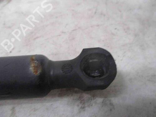 Hood lift support DACIA LODGY (JS_)  | BP26622394C139 