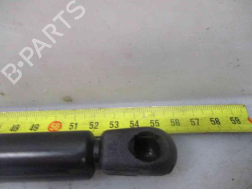 Tailgate lift support NISSAN ALMERA II Hatchback (N16)  | BP24008717C138 