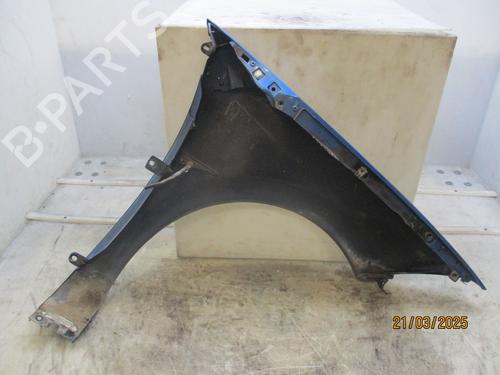 Left front fenders RENAULT MEGANE II (BM0/1_, CM0/1_) 1.9 dCi (BM0G, CM0G) | BP26639371C41 