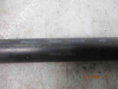 Tailgate lift support NISSAN MICRA III (K12) 1.2 16V | BP19735286C138 