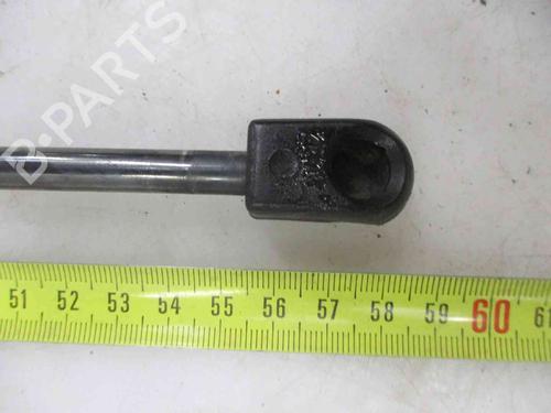 Tailgate lift support FIAT SEICENTO / 600 (187_)  | BP19735025C138 